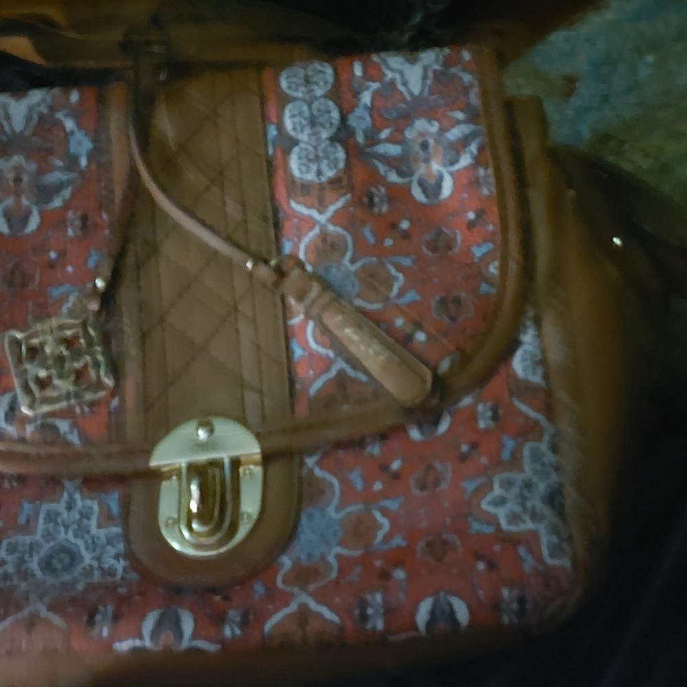 Nannette Red and Brown Crossbody Bag